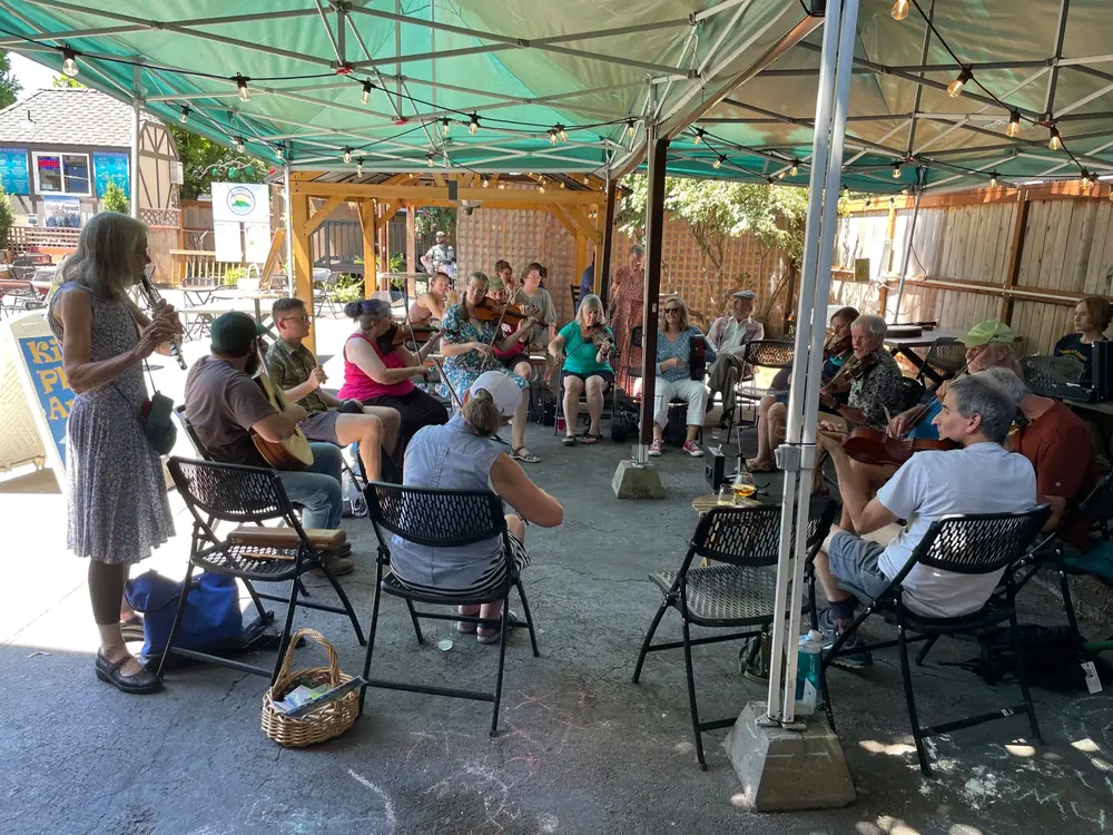 people playing in a celtic music jam session